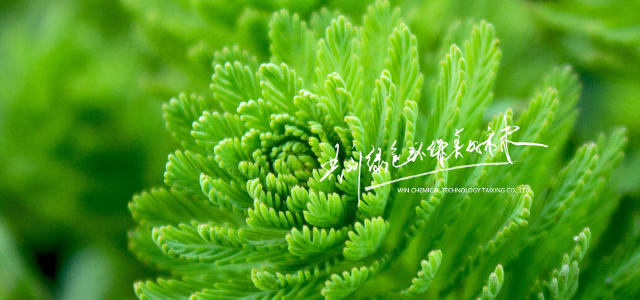 Yangzhou Win Chemical Technology Co., Ltd. 